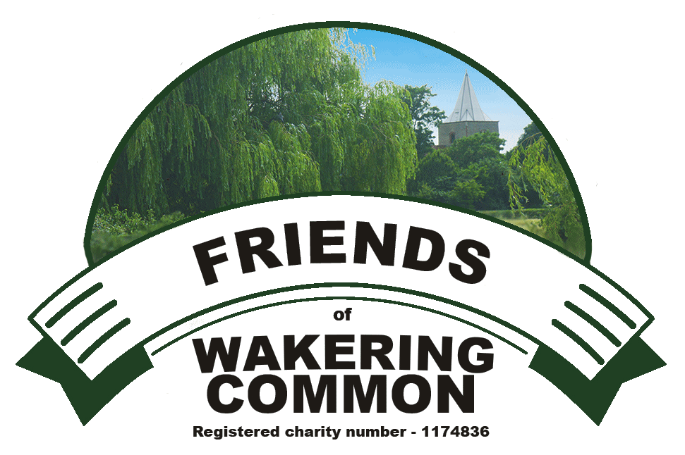 Friends of Wakering Common